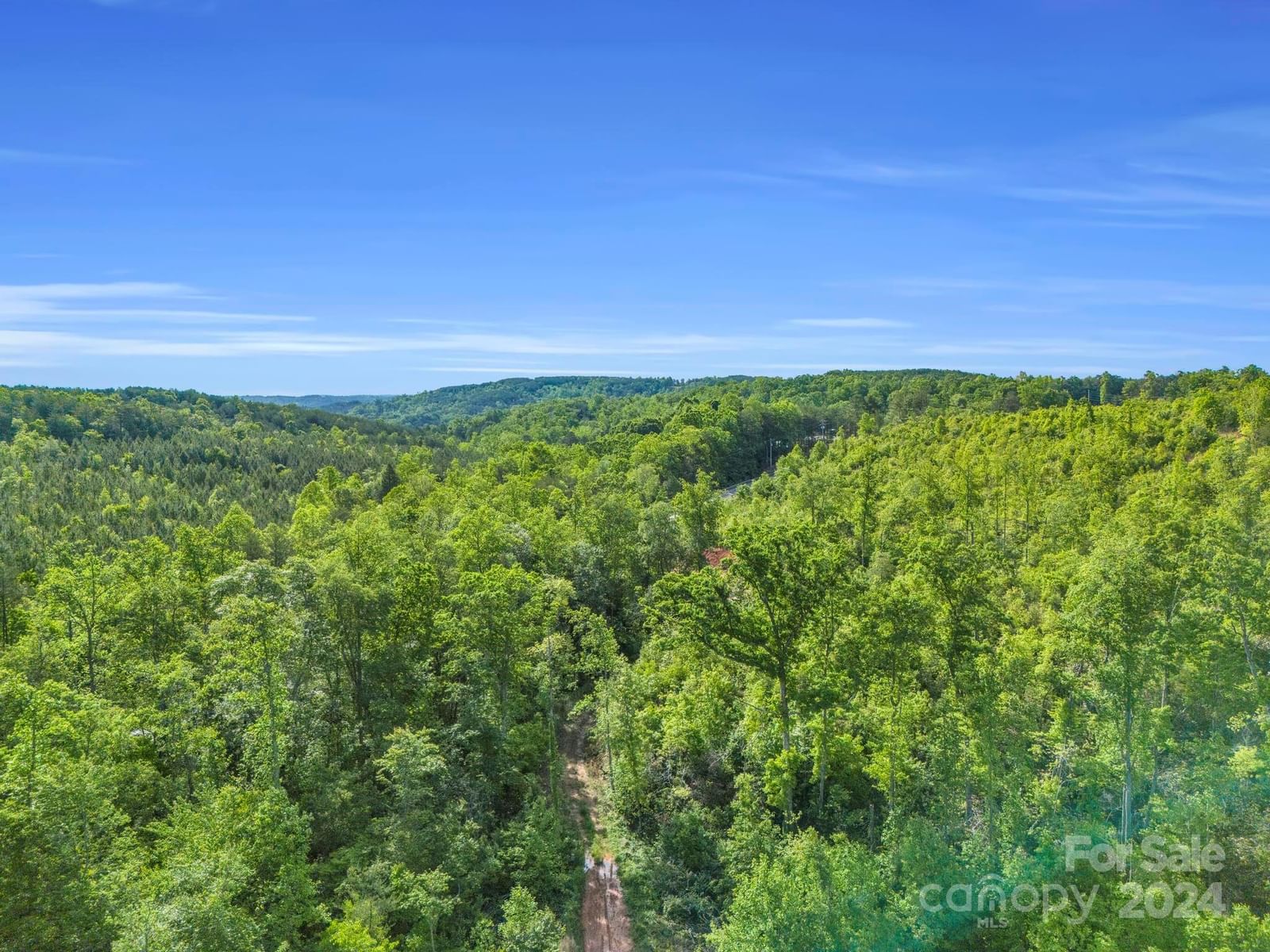 0 Bills Creek Road, Lake Lure, NC 28746 - Photo 3