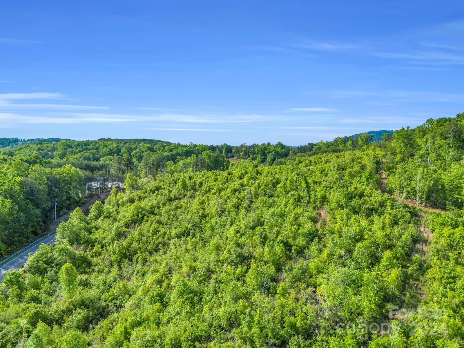 0 Bills Creek Road, Lake Lure, NC 28746 - Photo 4