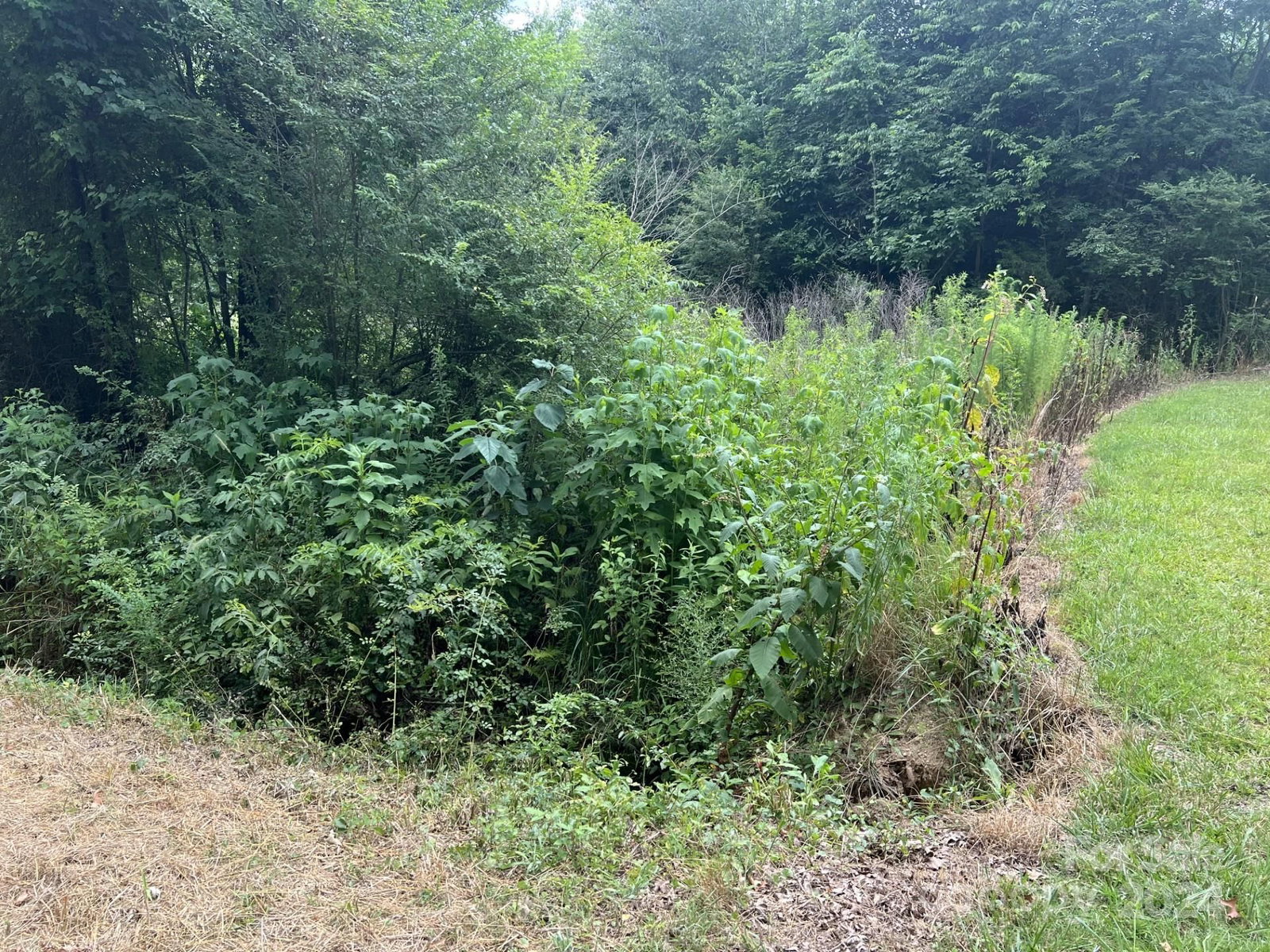 Property at 00 Cottonville, Norwood, NC 28128