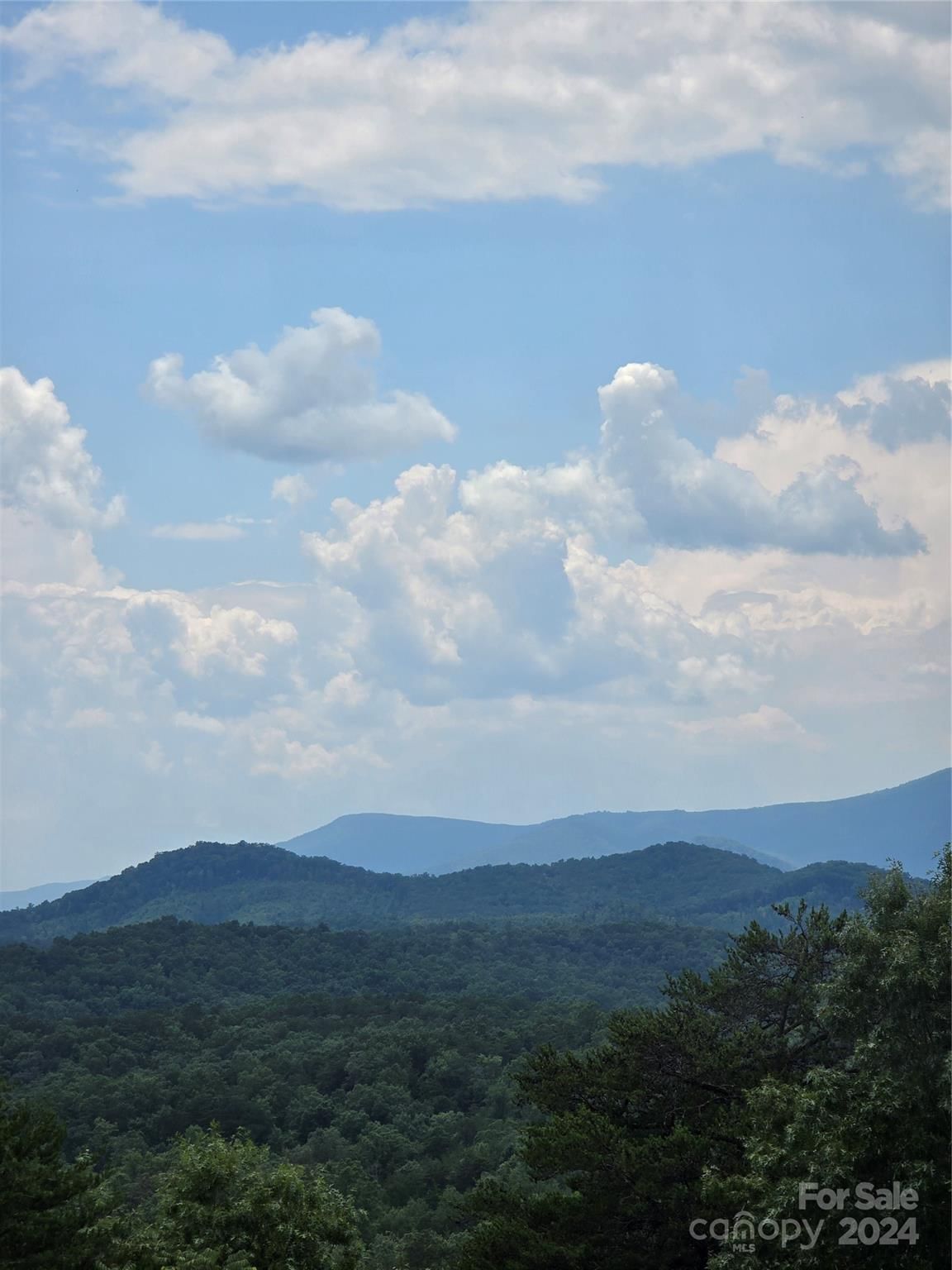 290 Boland Drive, Lake Lure, NC 28746 - Photo 2