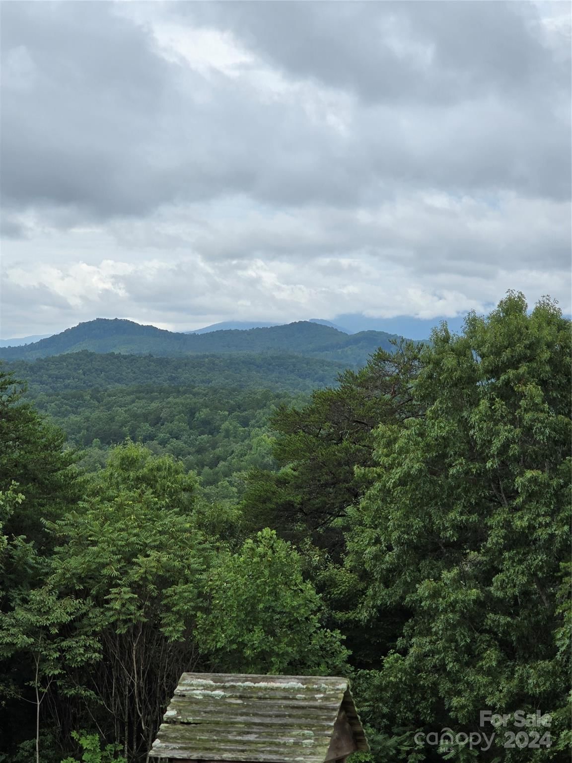 290 Boland Drive, Lake Lure, NC 28746 - Photo 4