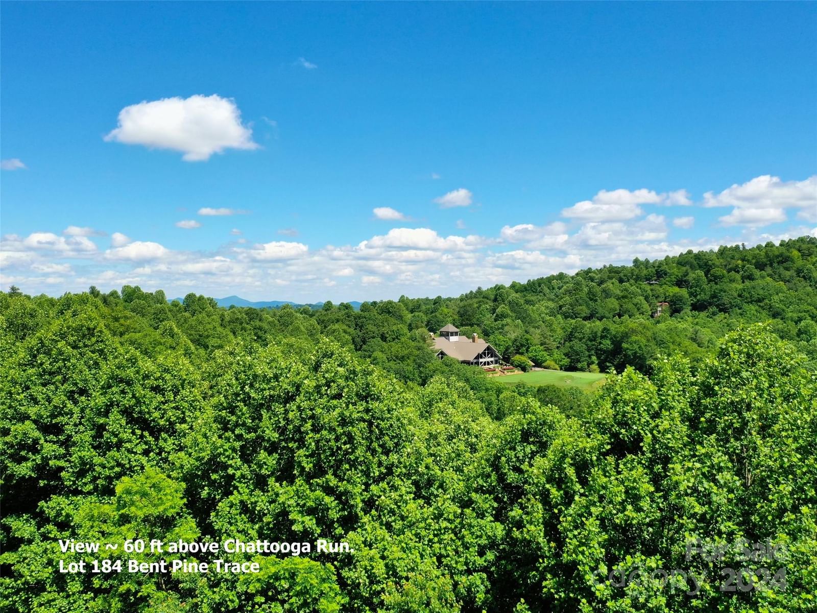 211 Bent Pine Trace #184, Hendersonville, NC 28739 - Photo 2