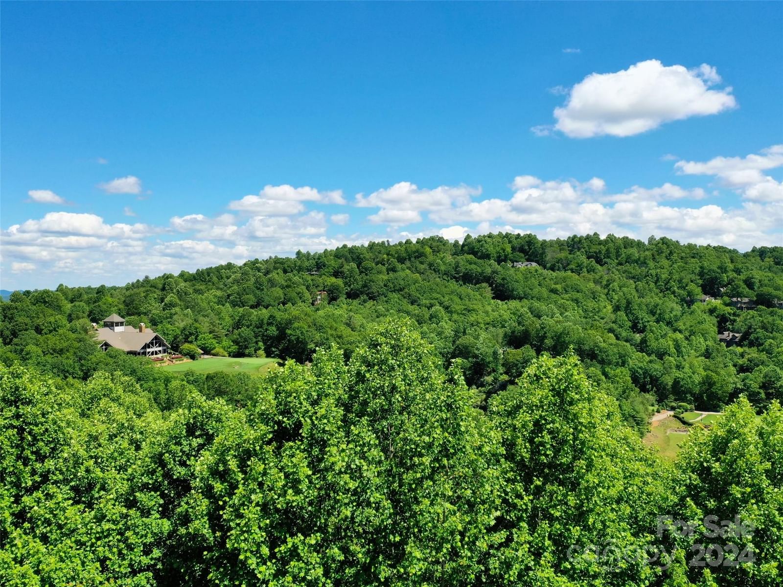 211 Bent Pine Trace #184, Hendersonville, NC 28739 - Photo 4