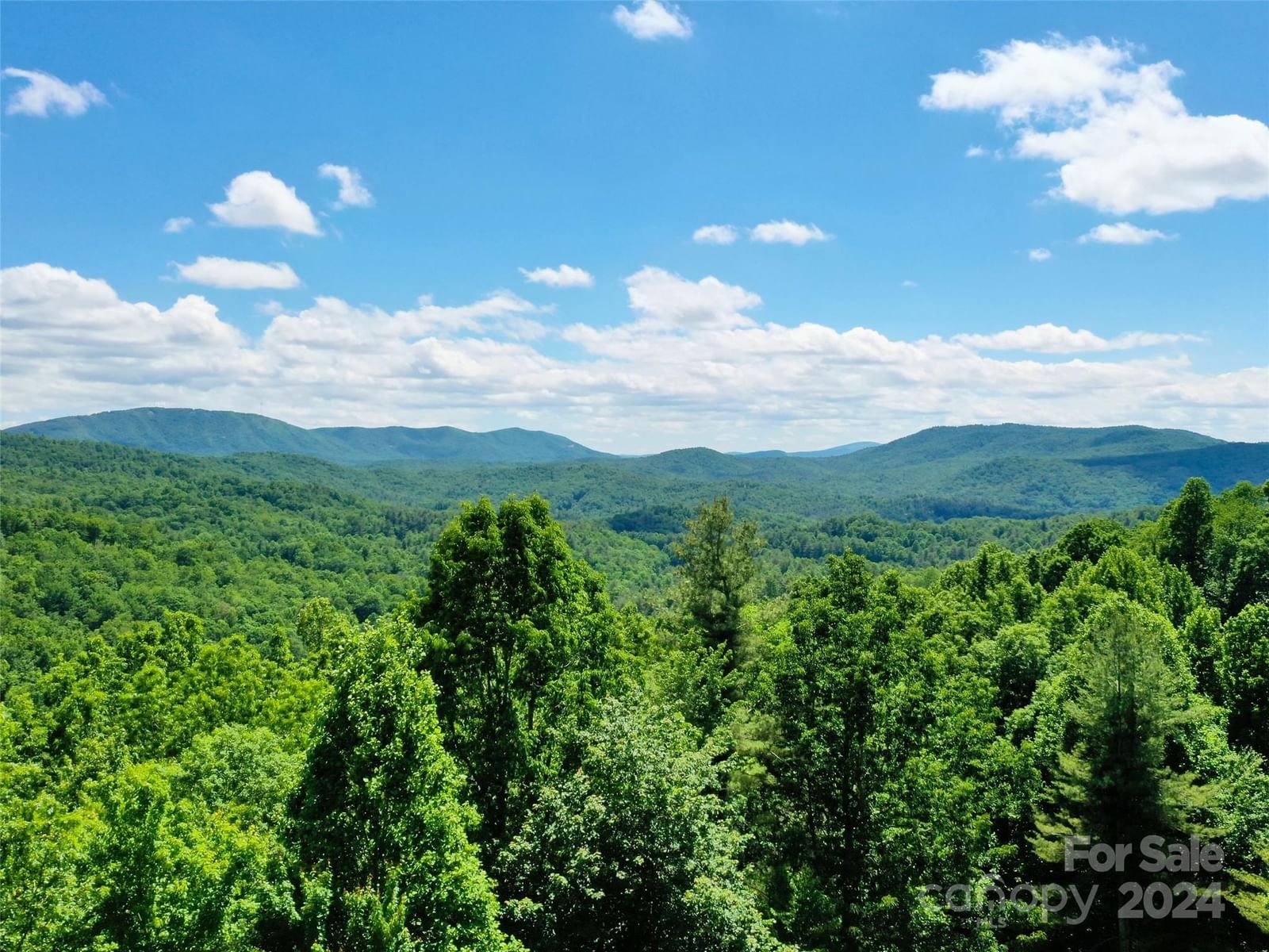 211 Bent Pine Trace #184, Hendersonville, NC 28739 - Photo 5