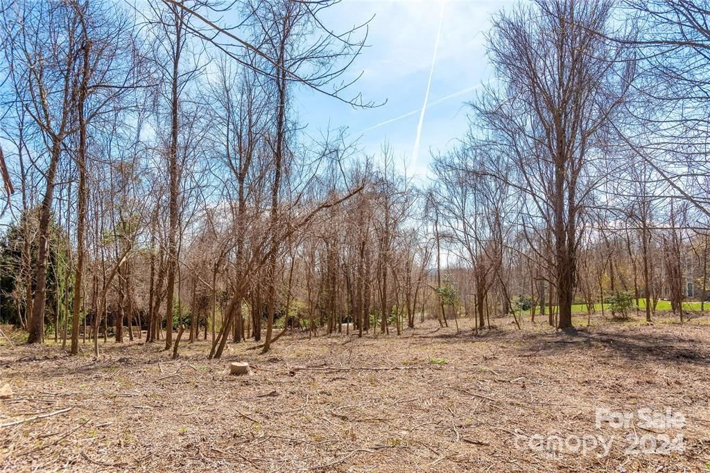 000 BERRY CREEK Drive, Flat Rock, NC 28731 - Photo 4
