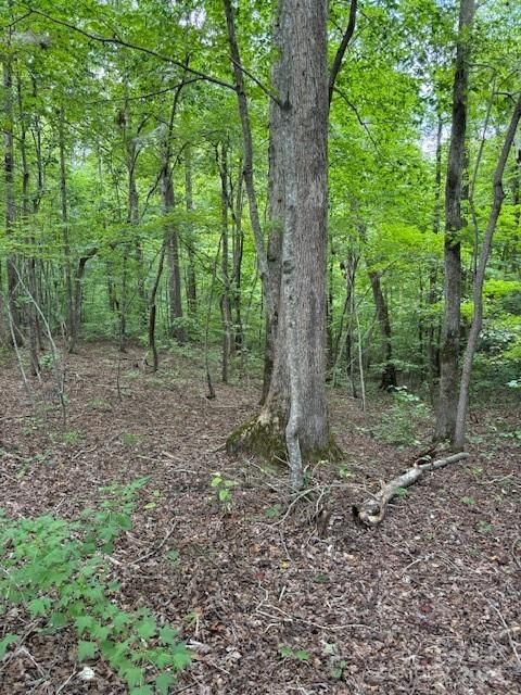 Property at 00 Timber, Iron Station, NC 28080