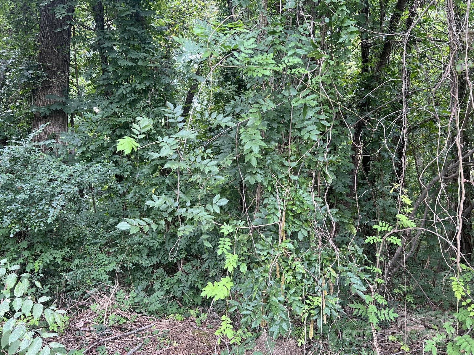Property at 00 Maplewood, New London, NC 28127