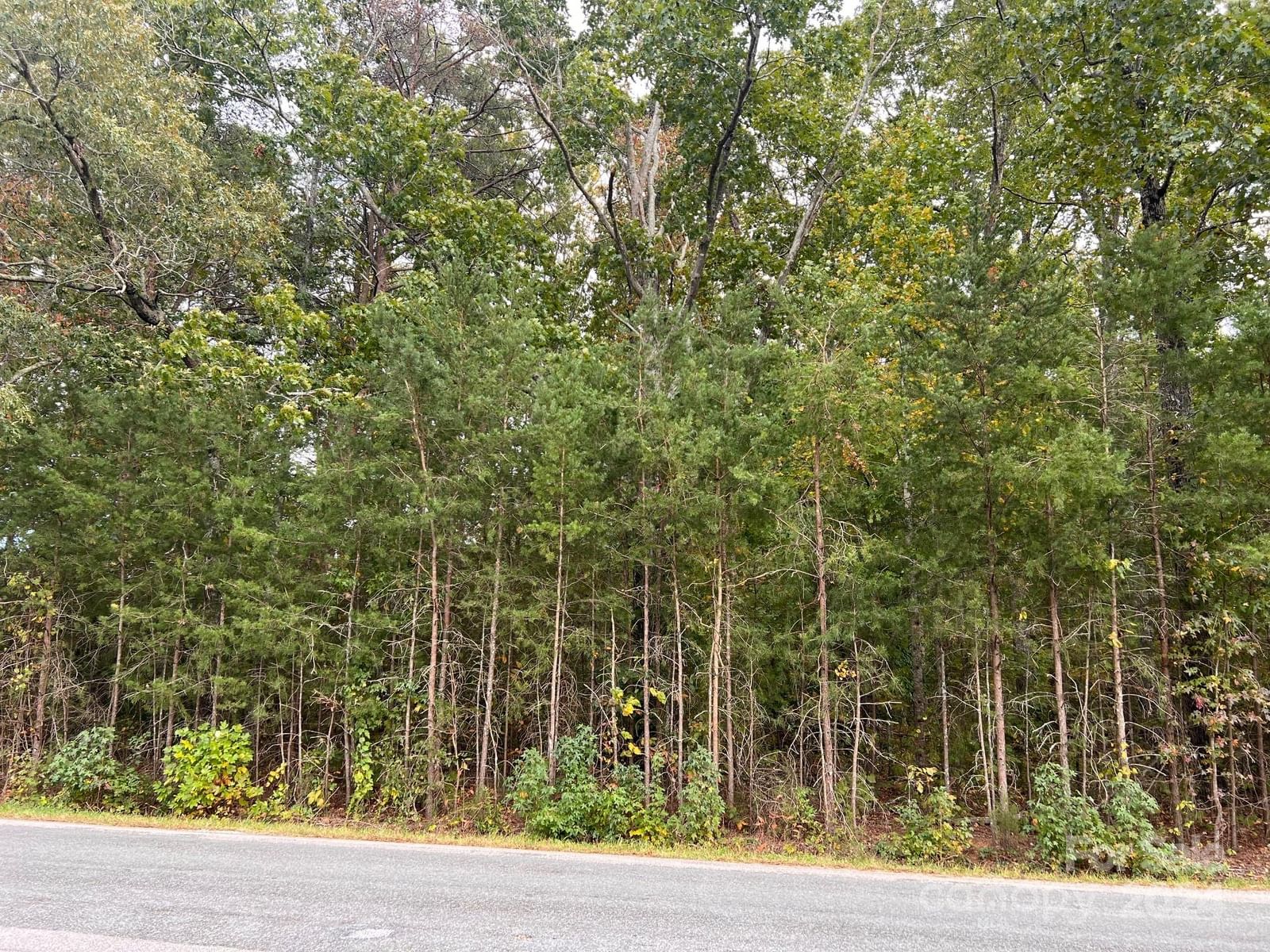 Property at 0 Cornelius, Rockwell, NC 28138