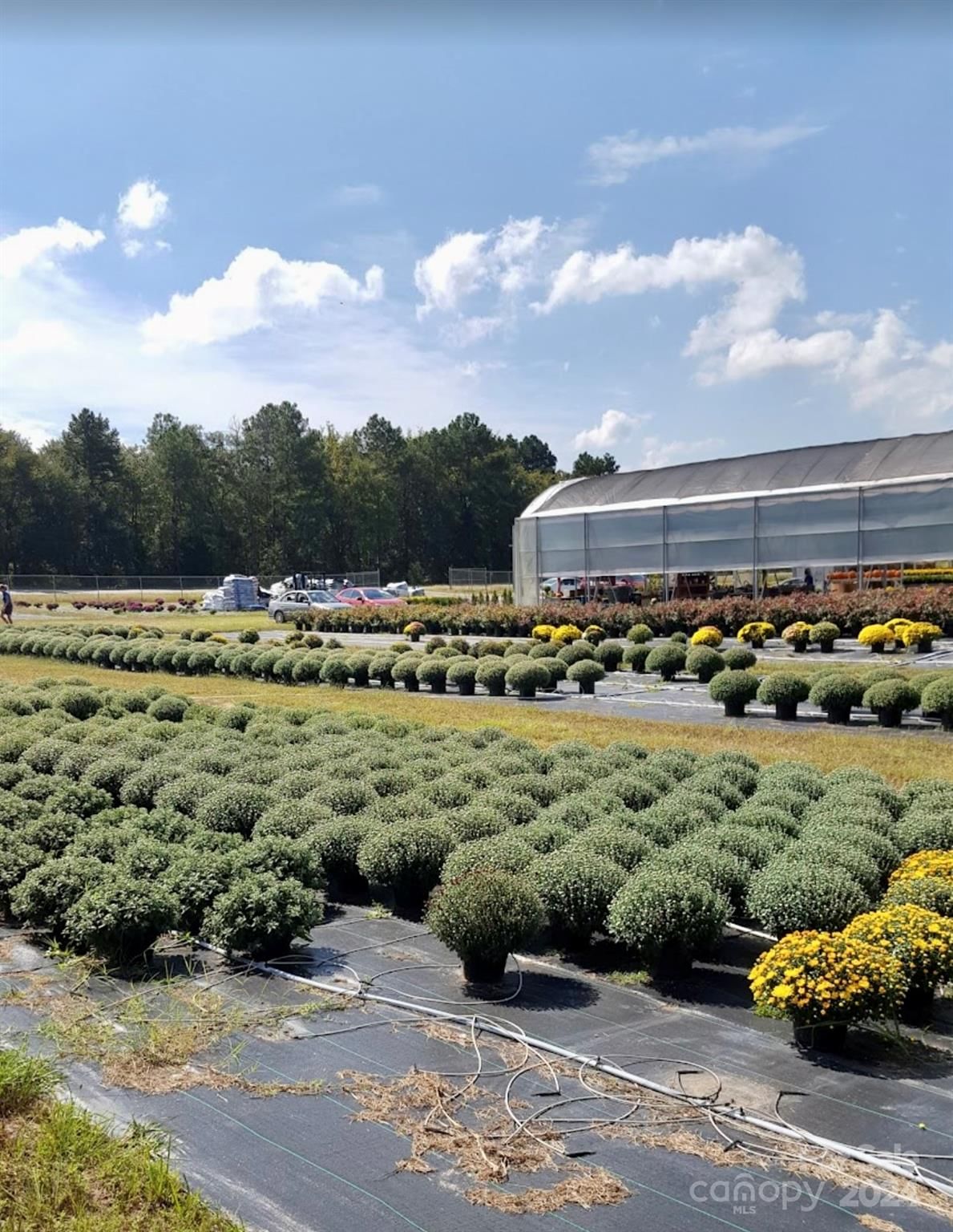 Property at 32544 Hwy 9 Highway, Pageland, SC 29728