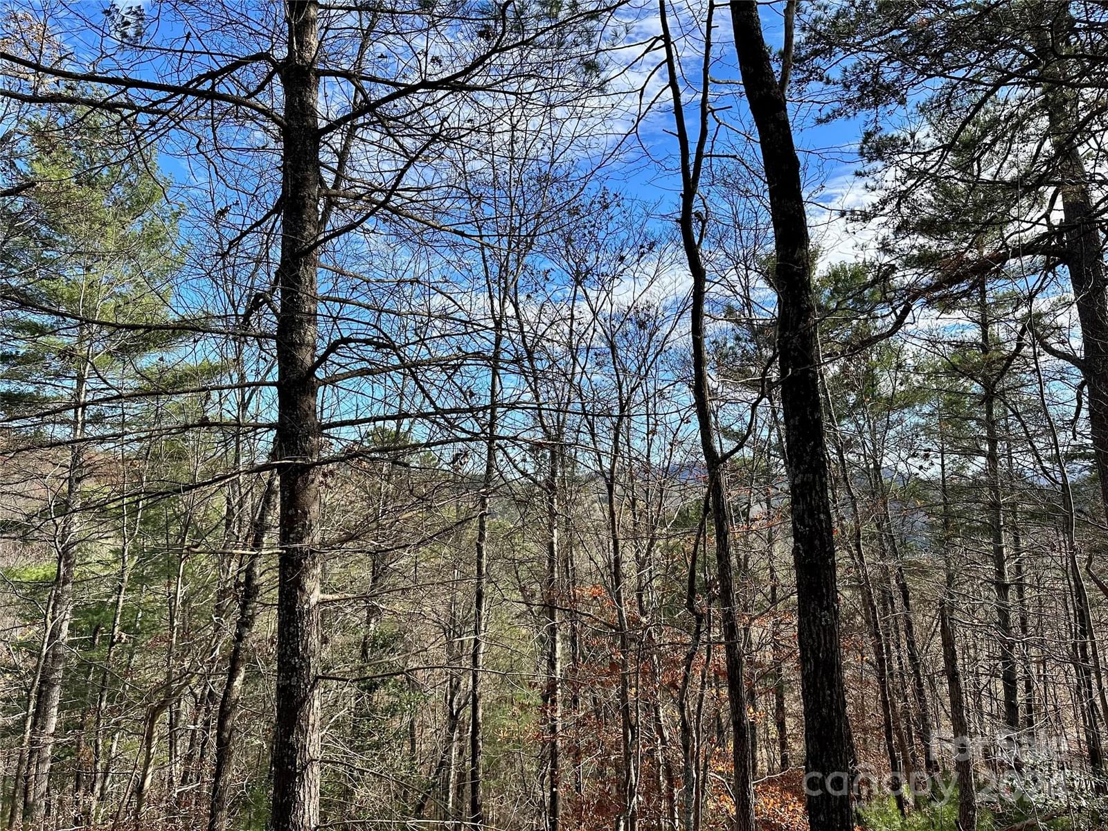 625 White Water Way #25, Marshall, NC 28753
