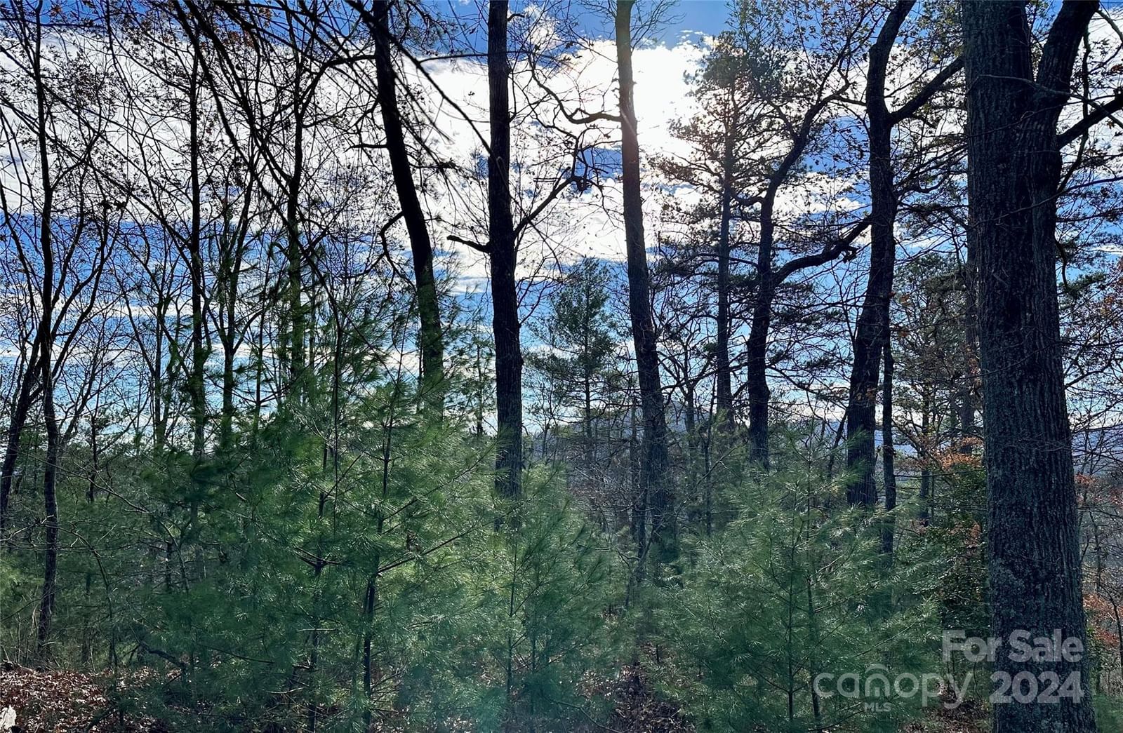 625 White Water Way #25, Marshall, NC 28753 - Photo 2