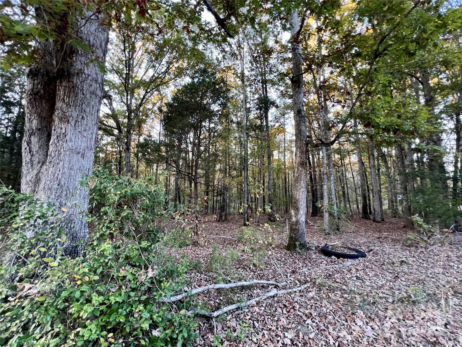Property at 00 Charlotte Highway, Lancaster, SC 29720