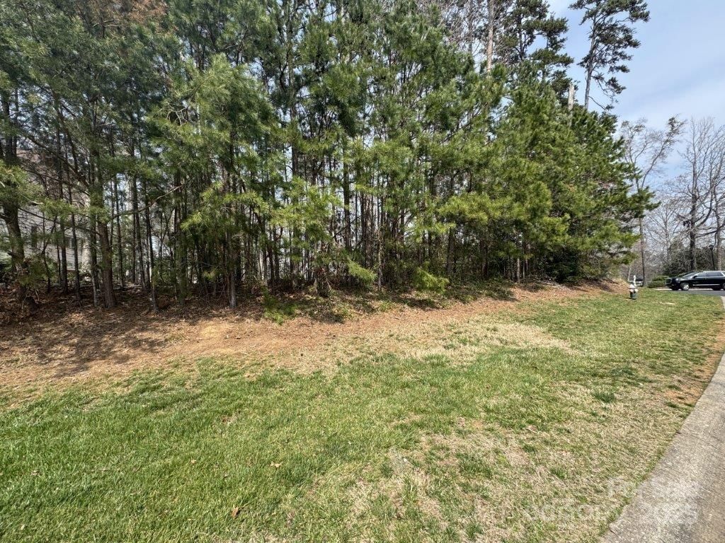 441 Glenbrook Springs None, New London, NC 28127 - Photo 3