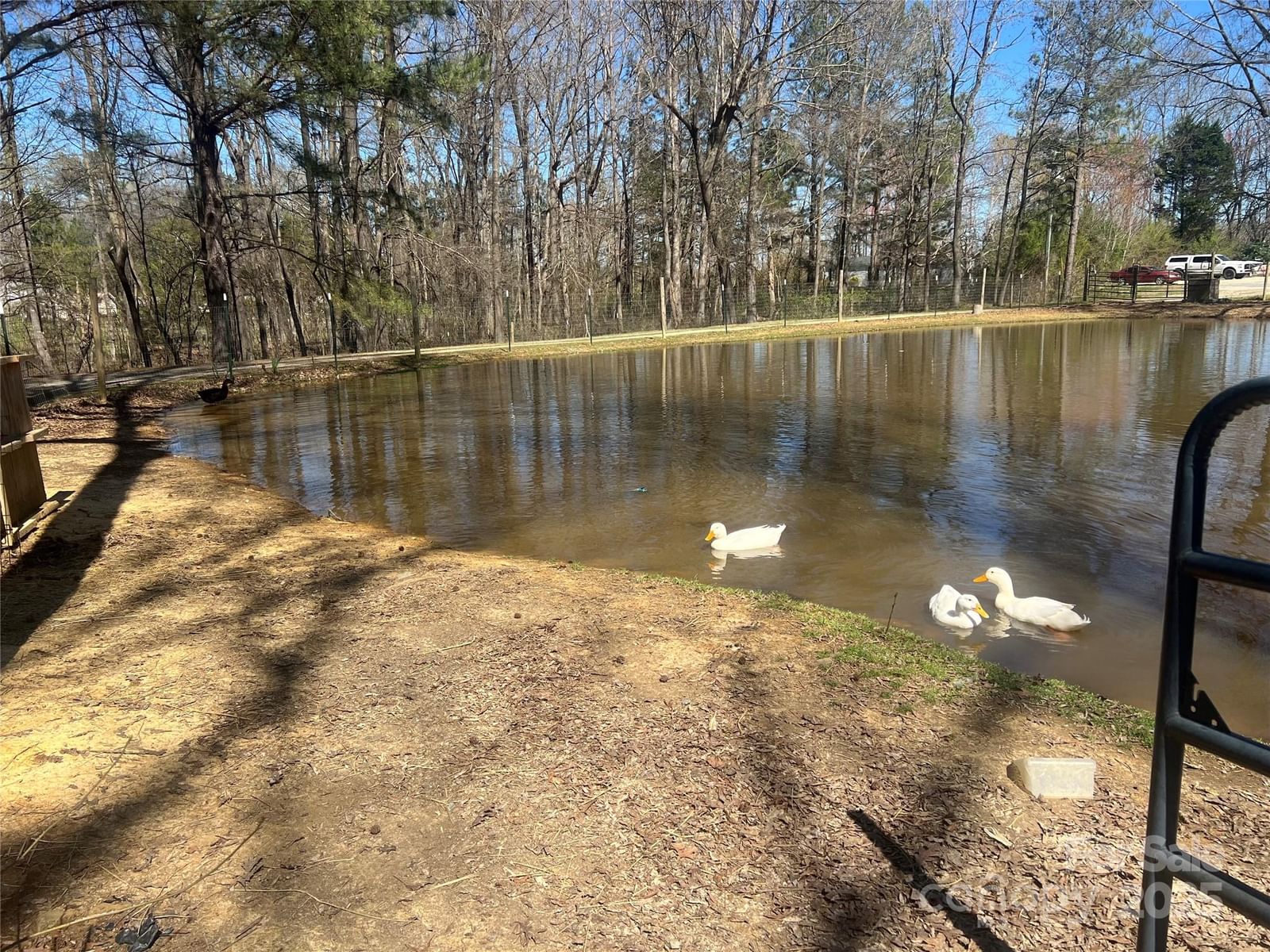 171 Courtney Place Lane, Pageland, SC 29728 - Photo 2