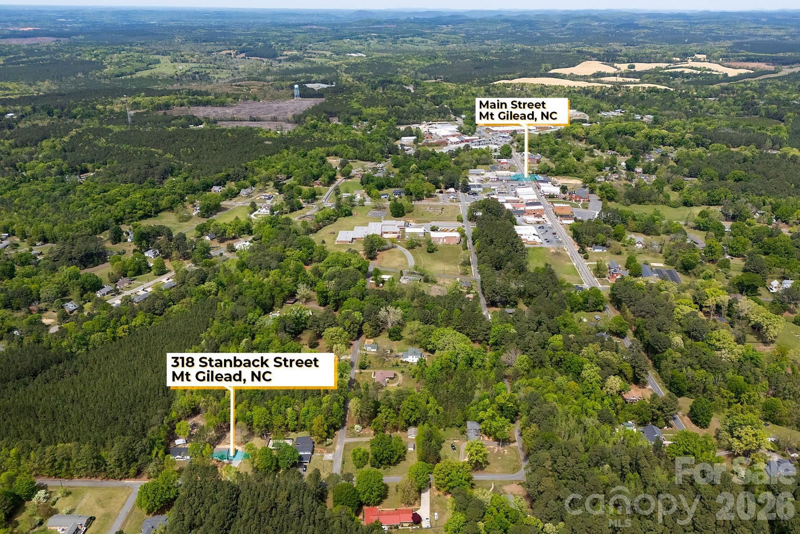 318 Stanback Street, Mount Gilead, NC 27306 - Photo 3