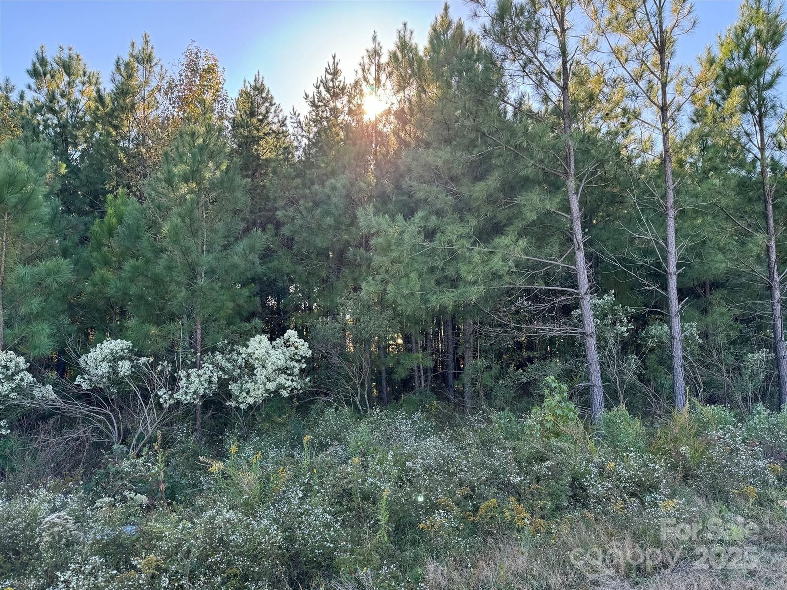 Property at 00 NE CONNECTOR, Albemarle, NC 28001
