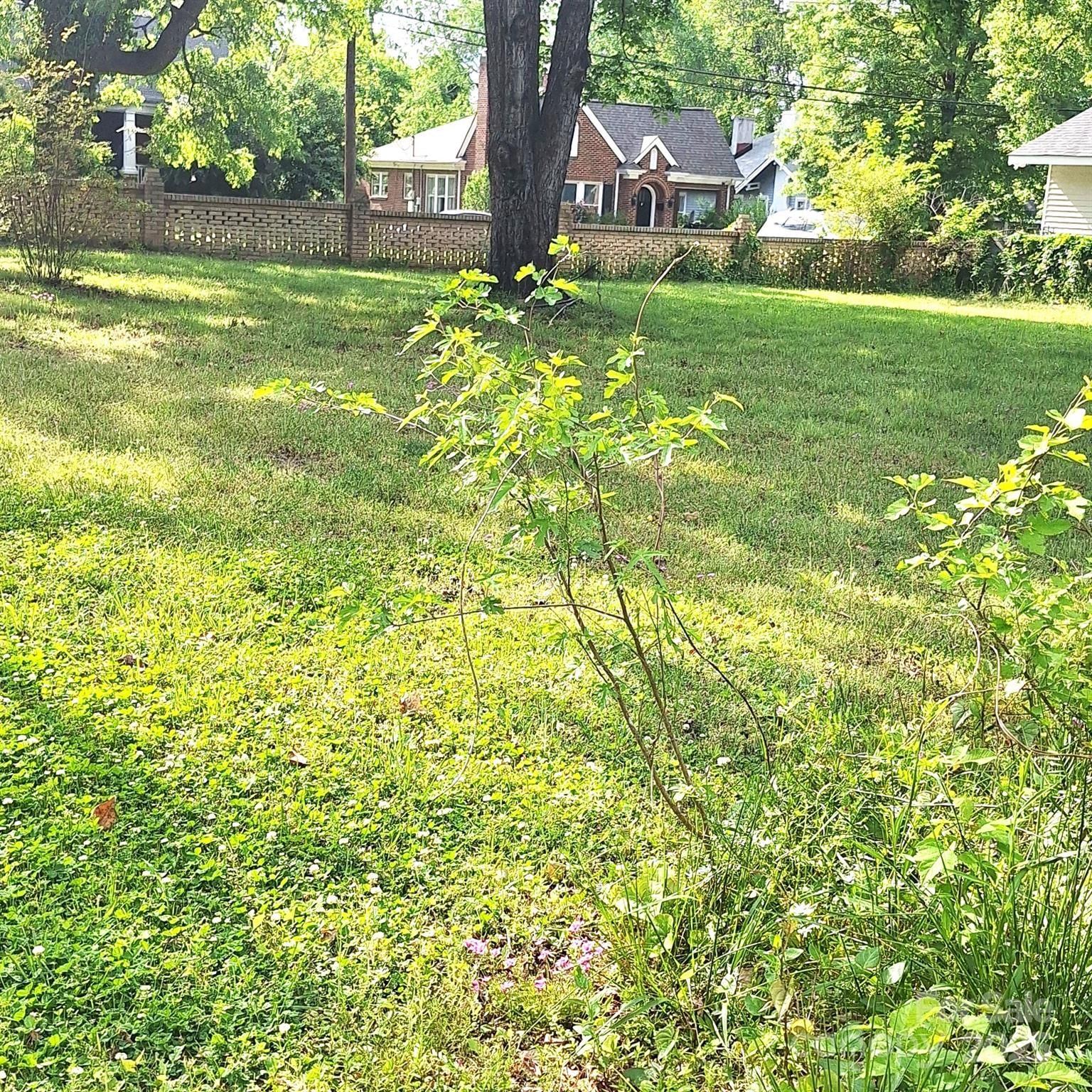 Property at 207 Maurice, Monroe, NC 28112