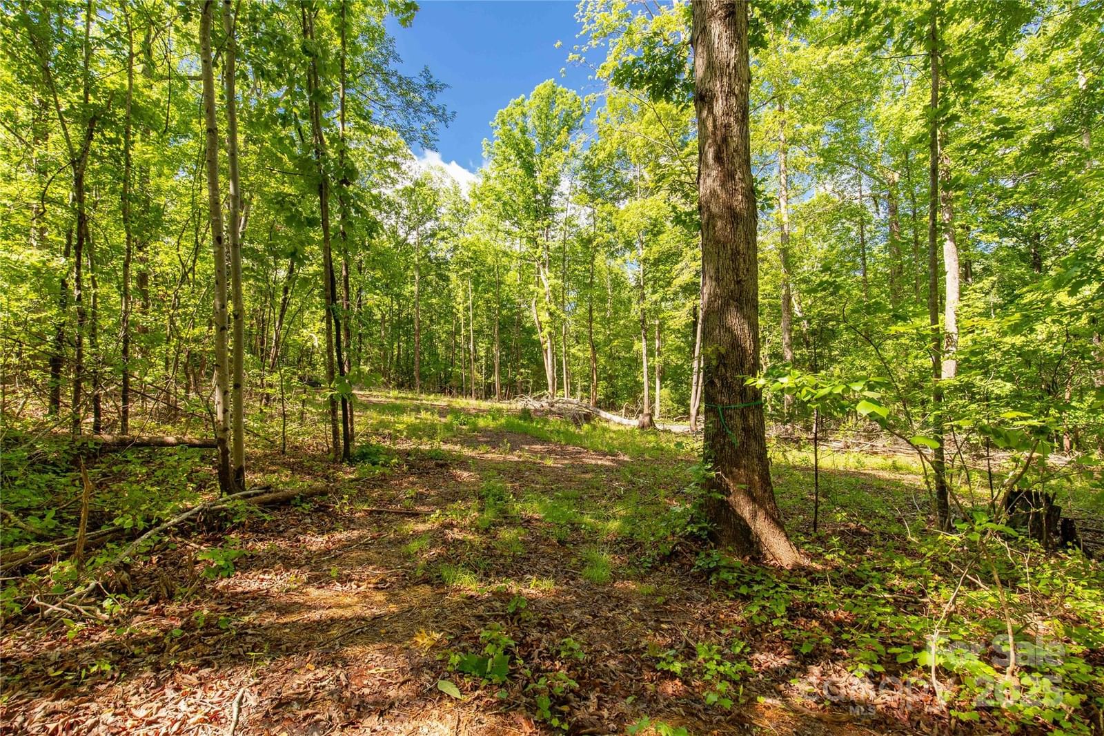 Property at 5212 Star Magnolia Court, Clover, SC 29710