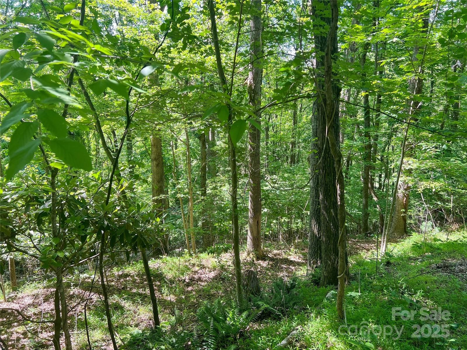 101 Chattooga Run #181, Hendersonville, NC 28739 - Photo 2