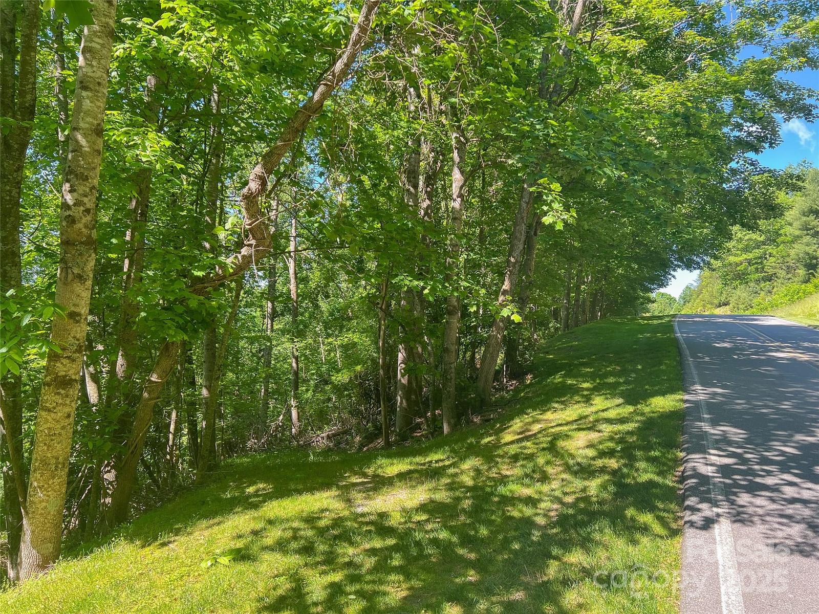 101 Chattooga Run #181, Hendersonville, NC 28739 - Photo 3