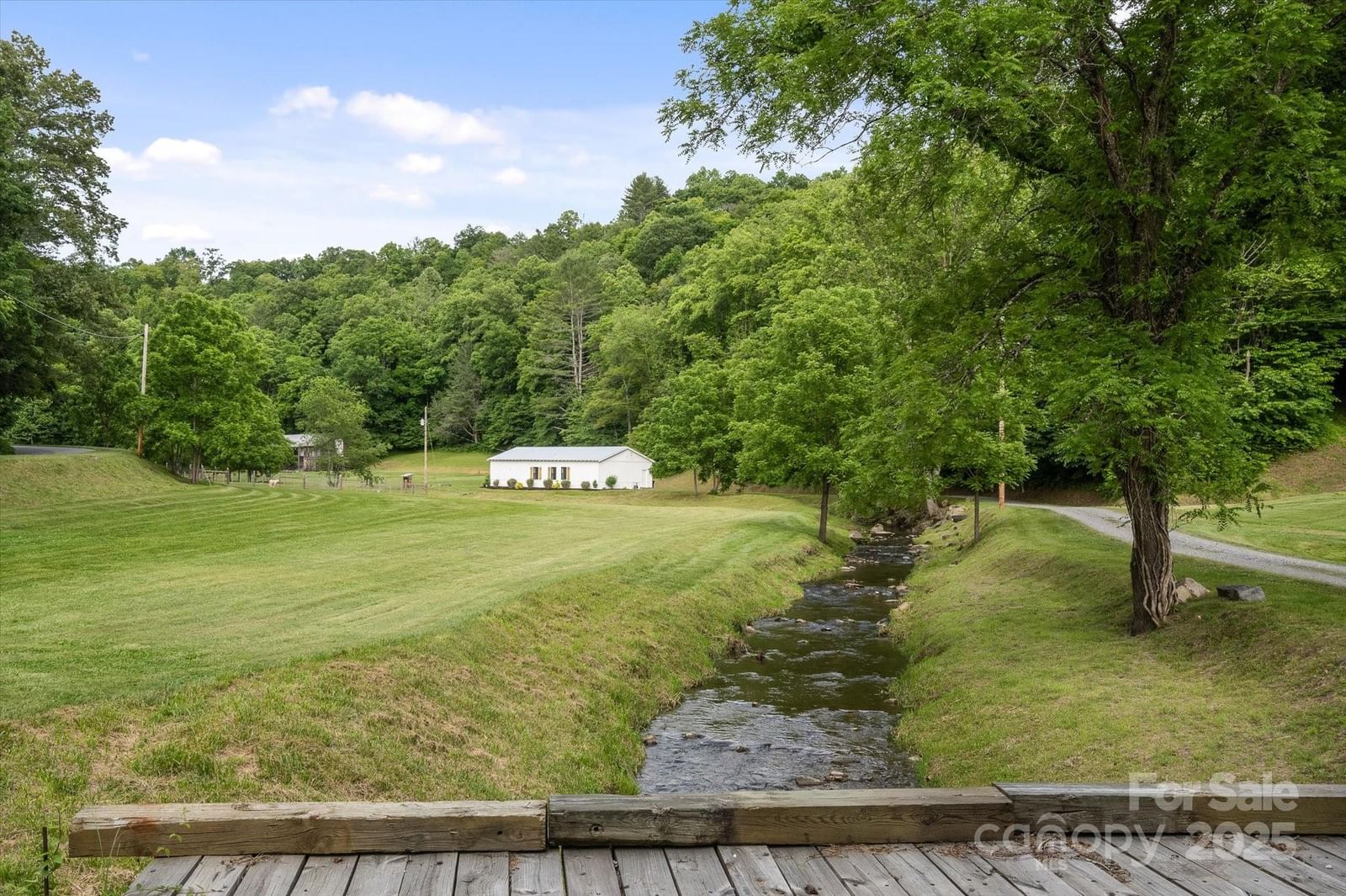 942 Paint Fork Road, Mars Hill, NC 28754 - Photo 2