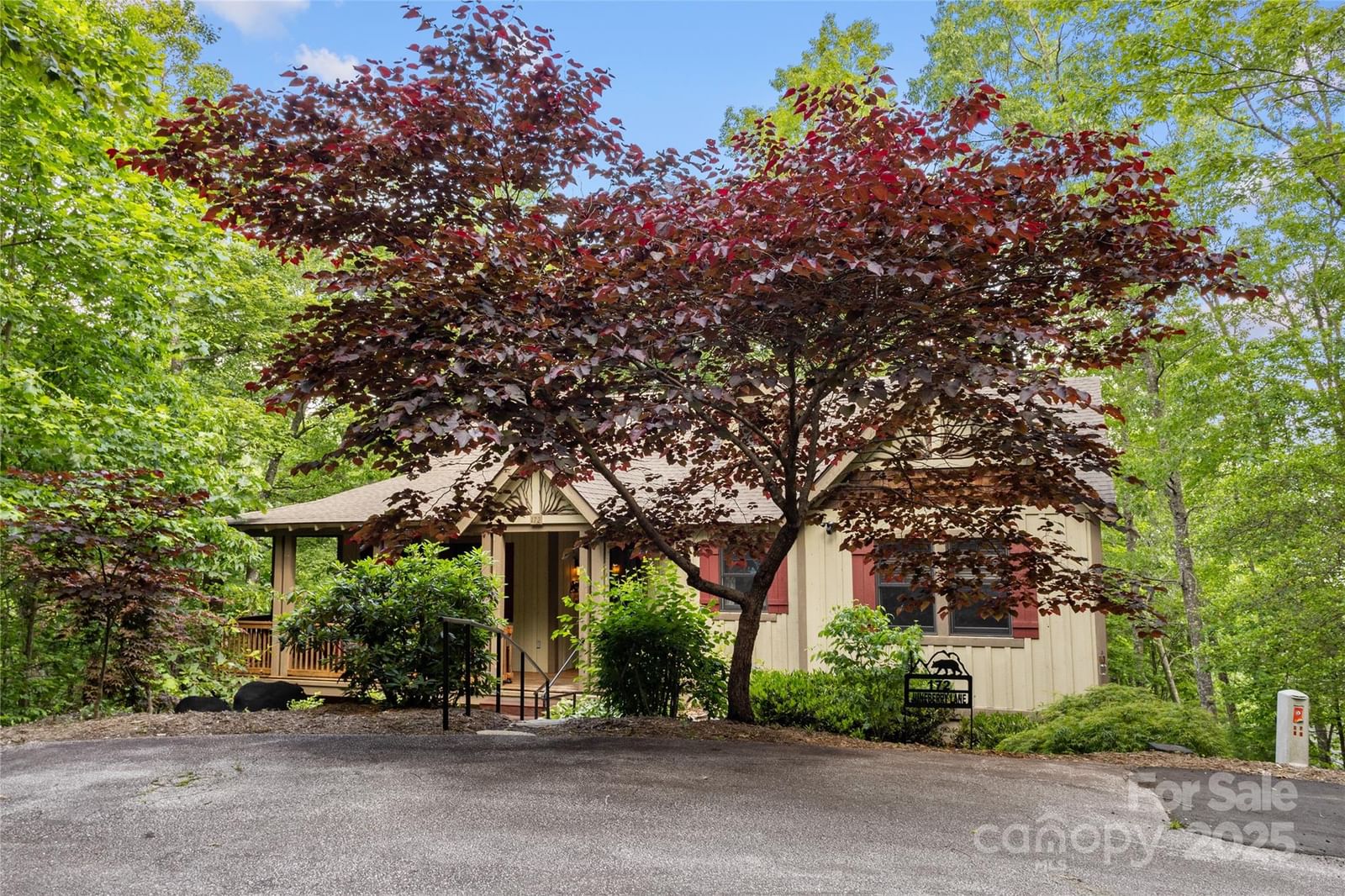 172 Juneberry Lane, Tuckasegee, NC 28783 - Photo 3