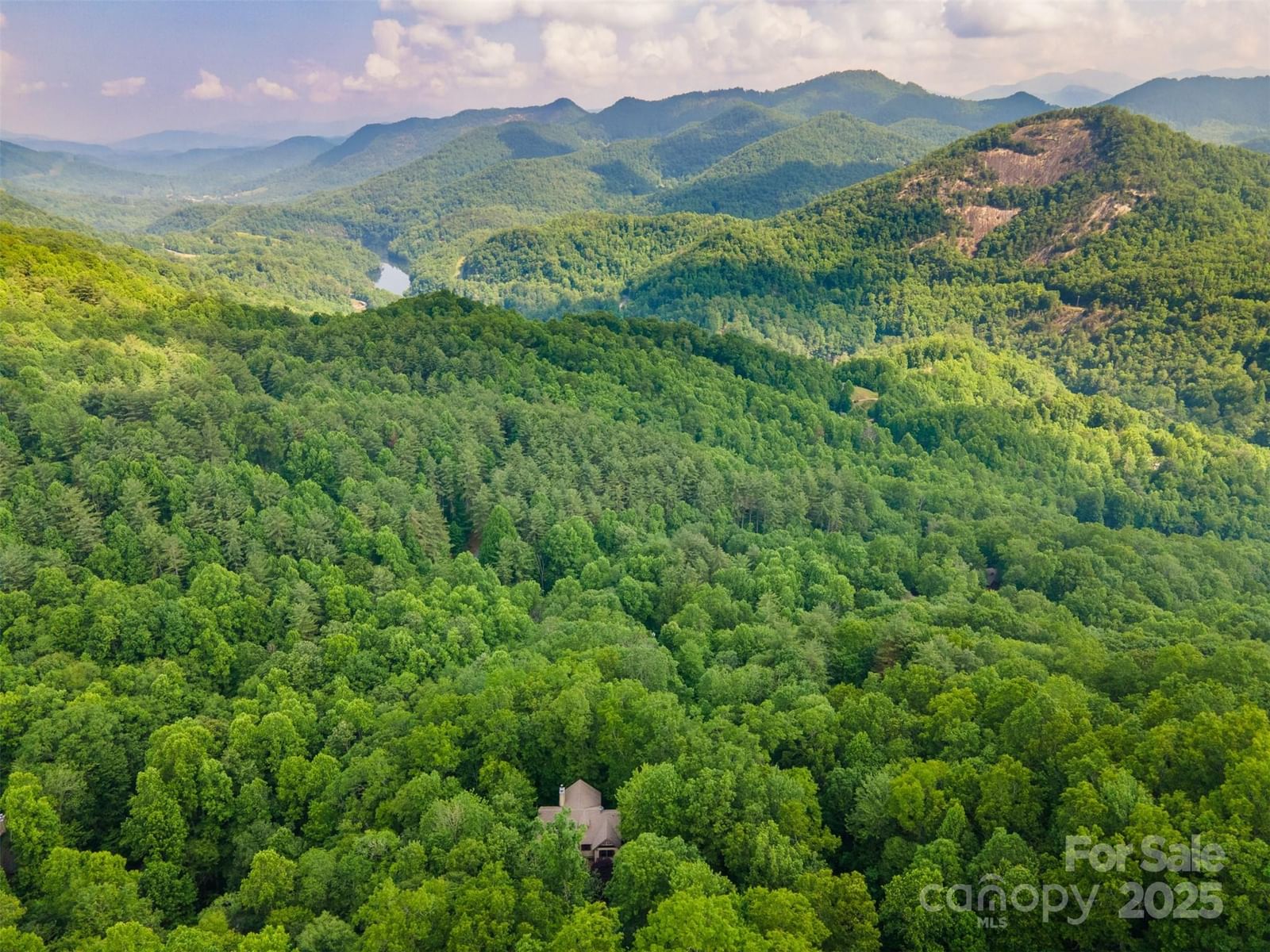 172 Juneberry Lane, Tuckasegee, NC 28783 - Photo 4