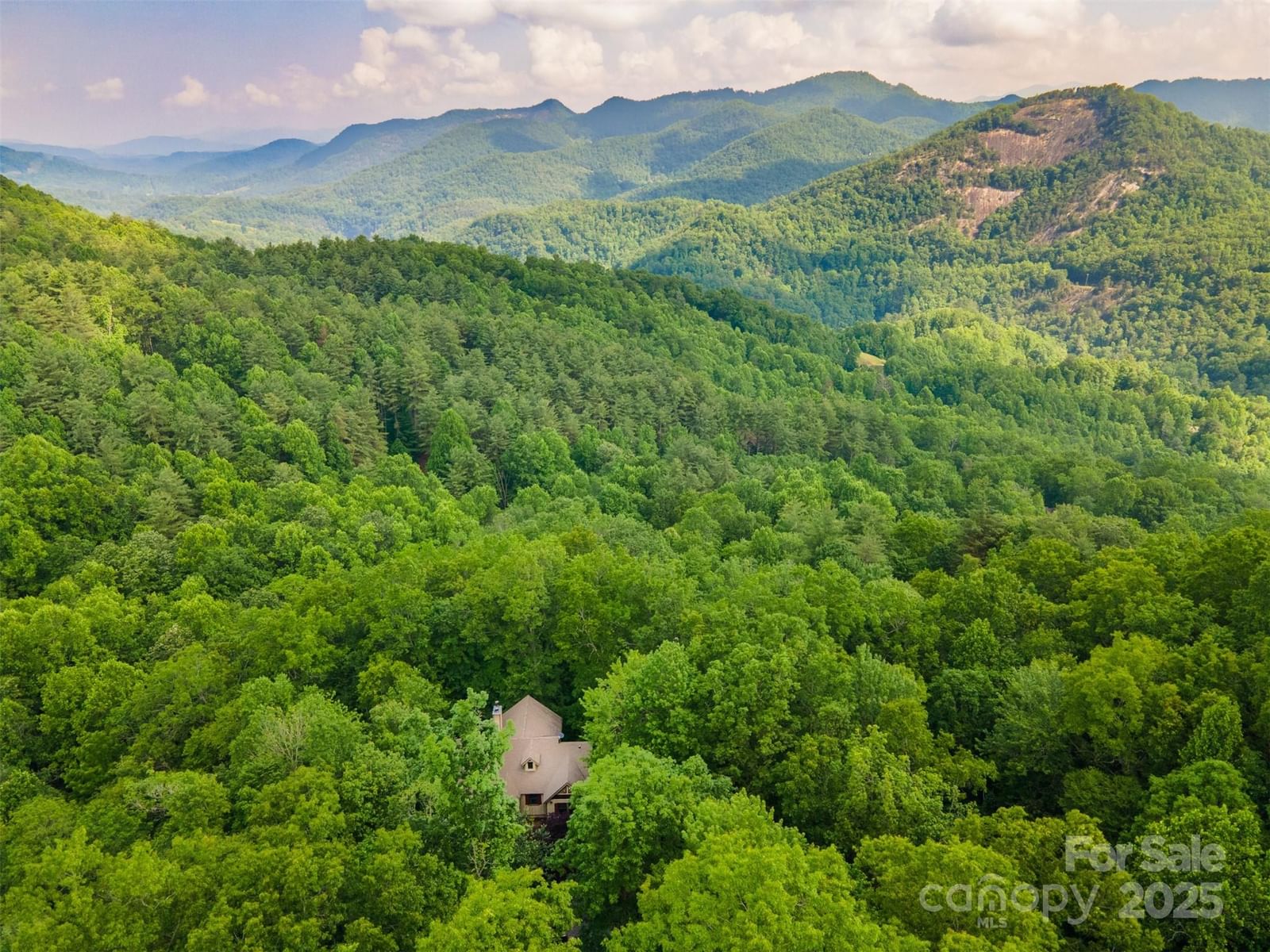 172 Juneberry Lane, Tuckasegee, NC 28783 - Photo 5