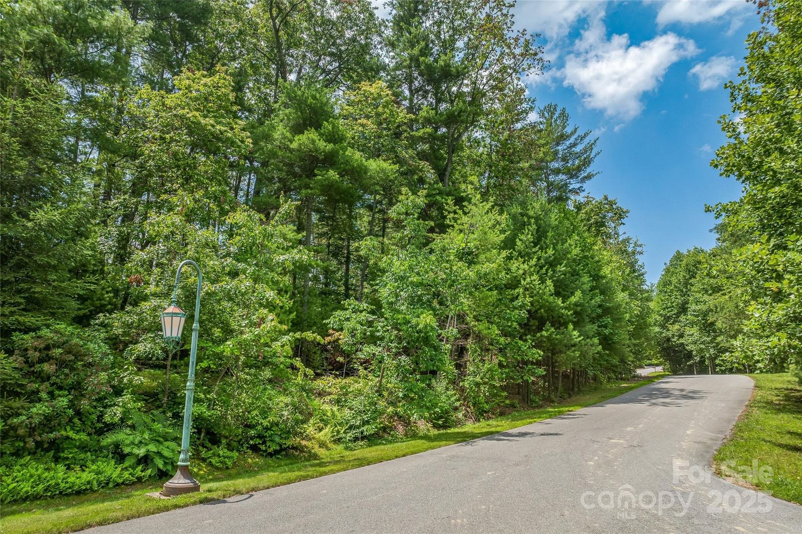 99999 Cedar Hill Drive #28, Biltmore Forest, NC 28803