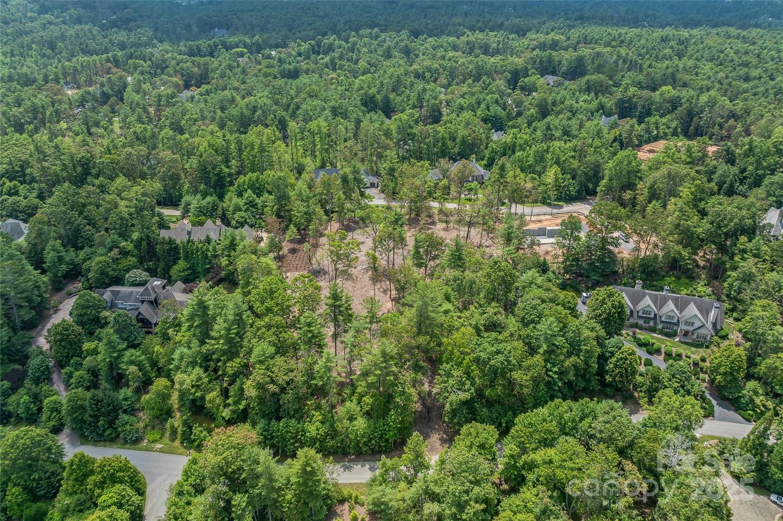 99999 Cedar Hill Drive #28, Biltmore Forest, NC 28803 - Photo 5