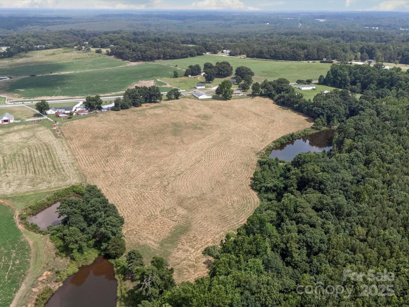 1497 White Store Road, Pageland, SC 29728 - Photo 3
