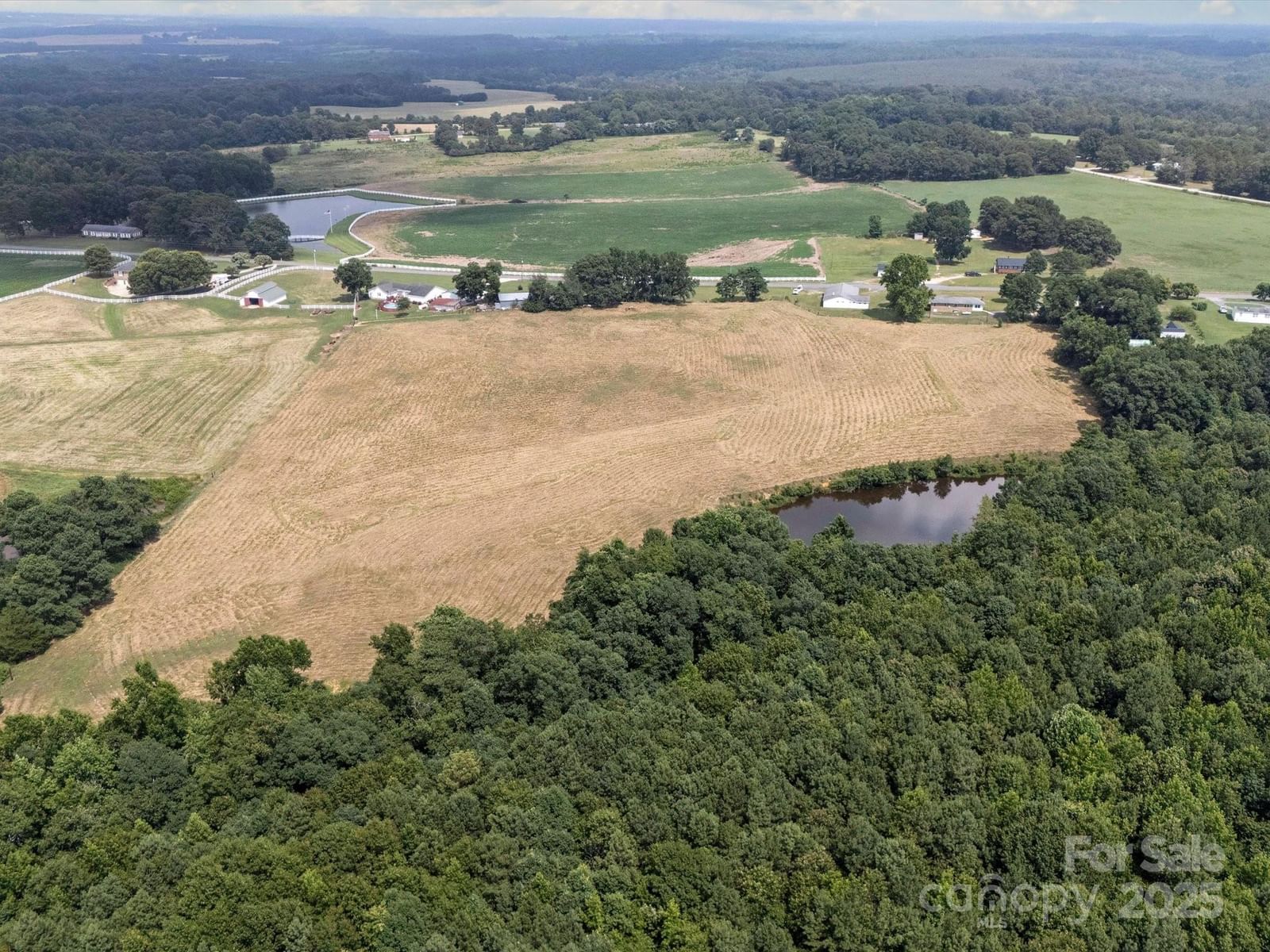 1497 White Store Road, Pageland, SC 29728 - Photo 4