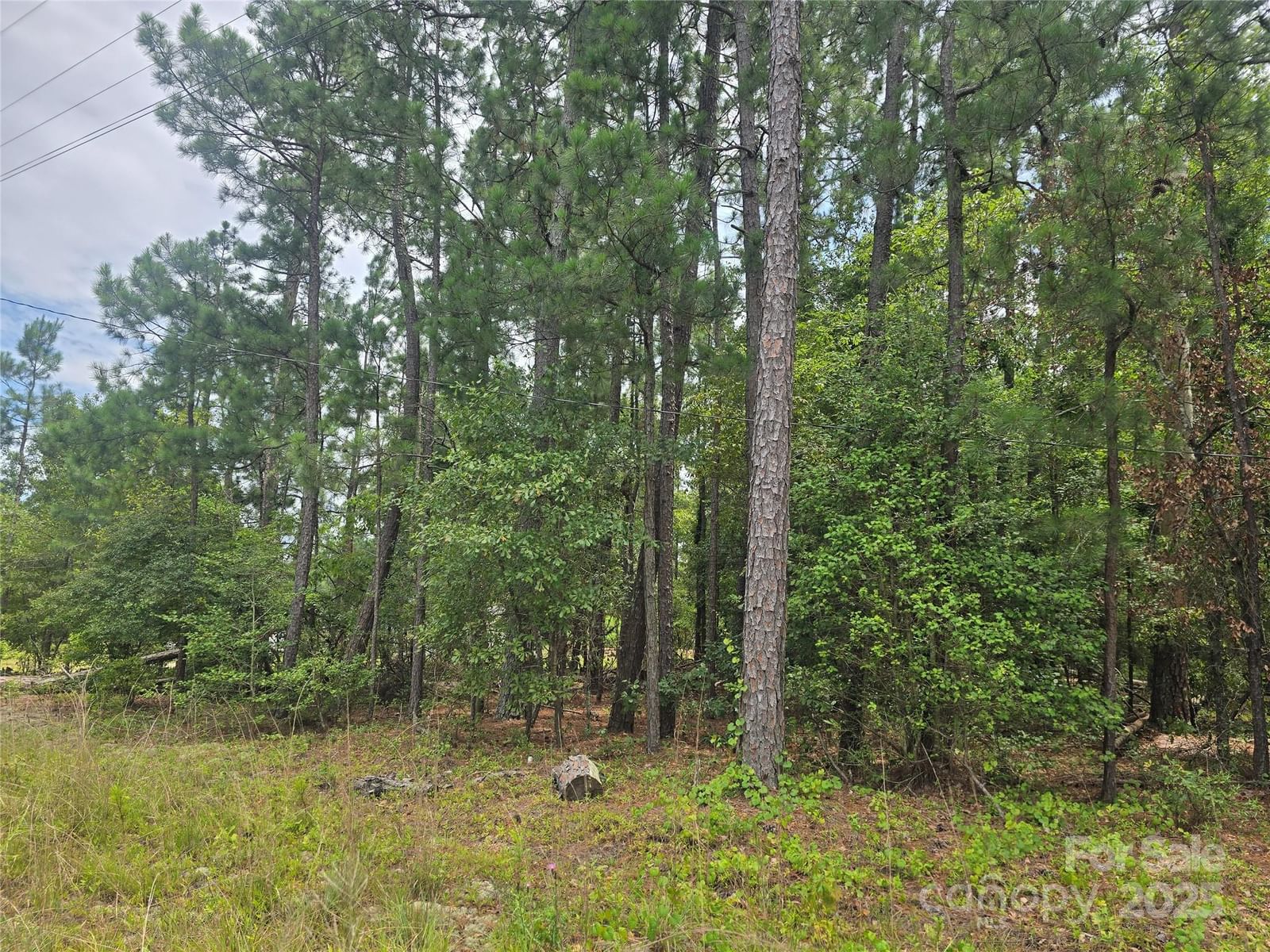 Property at 00 Johnny Williams Road #5, Kershaw, SC 29067
