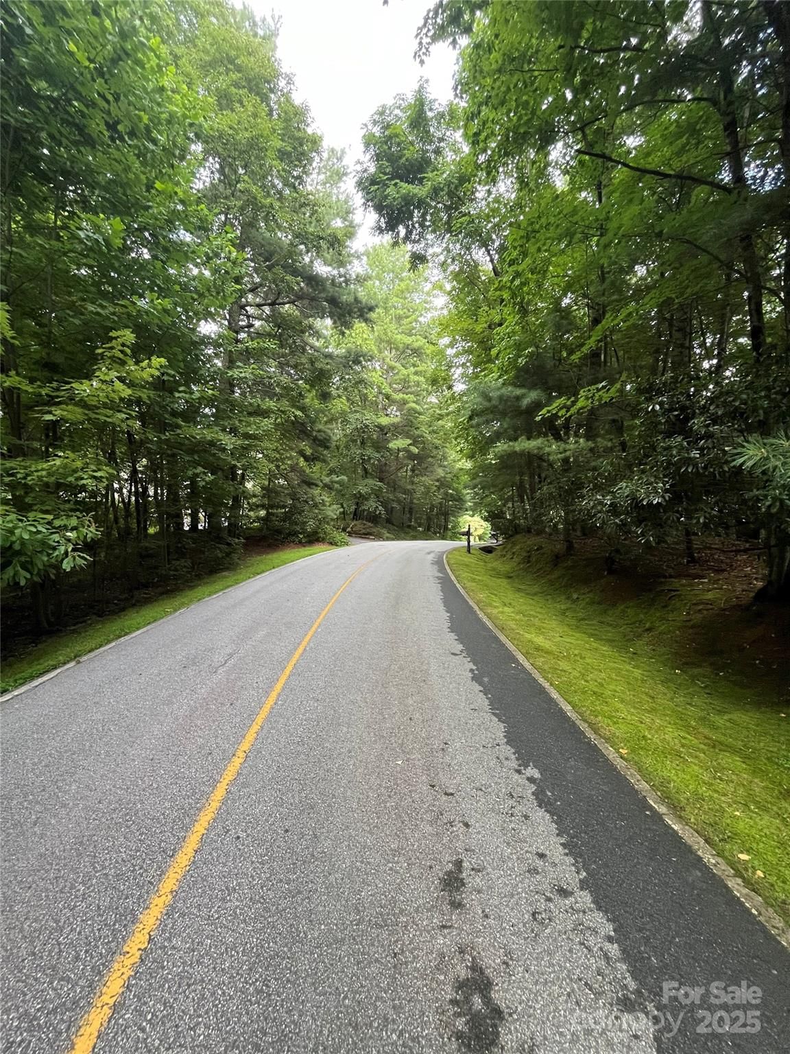 000 GREENLEAF Drive, Flat Rock, NC 28731 - Photo 2