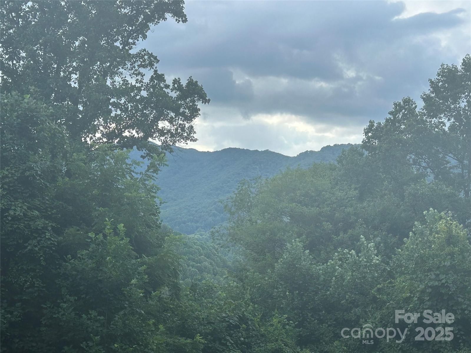 103 Cambridge Way, Waynesville, NC 28786 - Photo 4