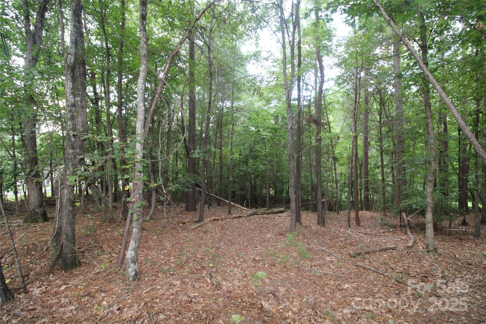 Property at Lot 1 Lake Wylie Drive, Rock Hill, SC 29732