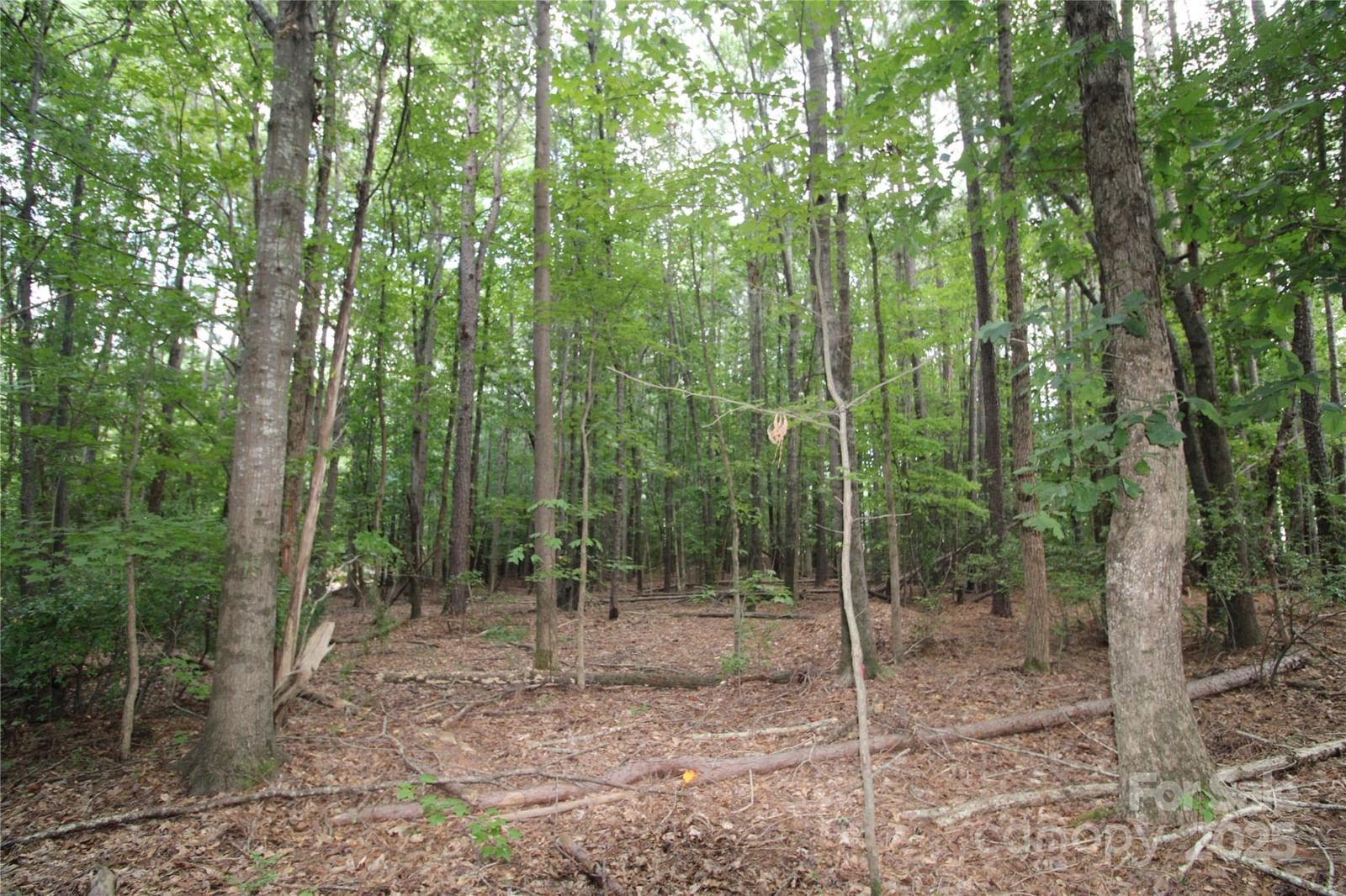 Property at Lot 4 Lake Wylie Drive, Rock Hill, SC 29732