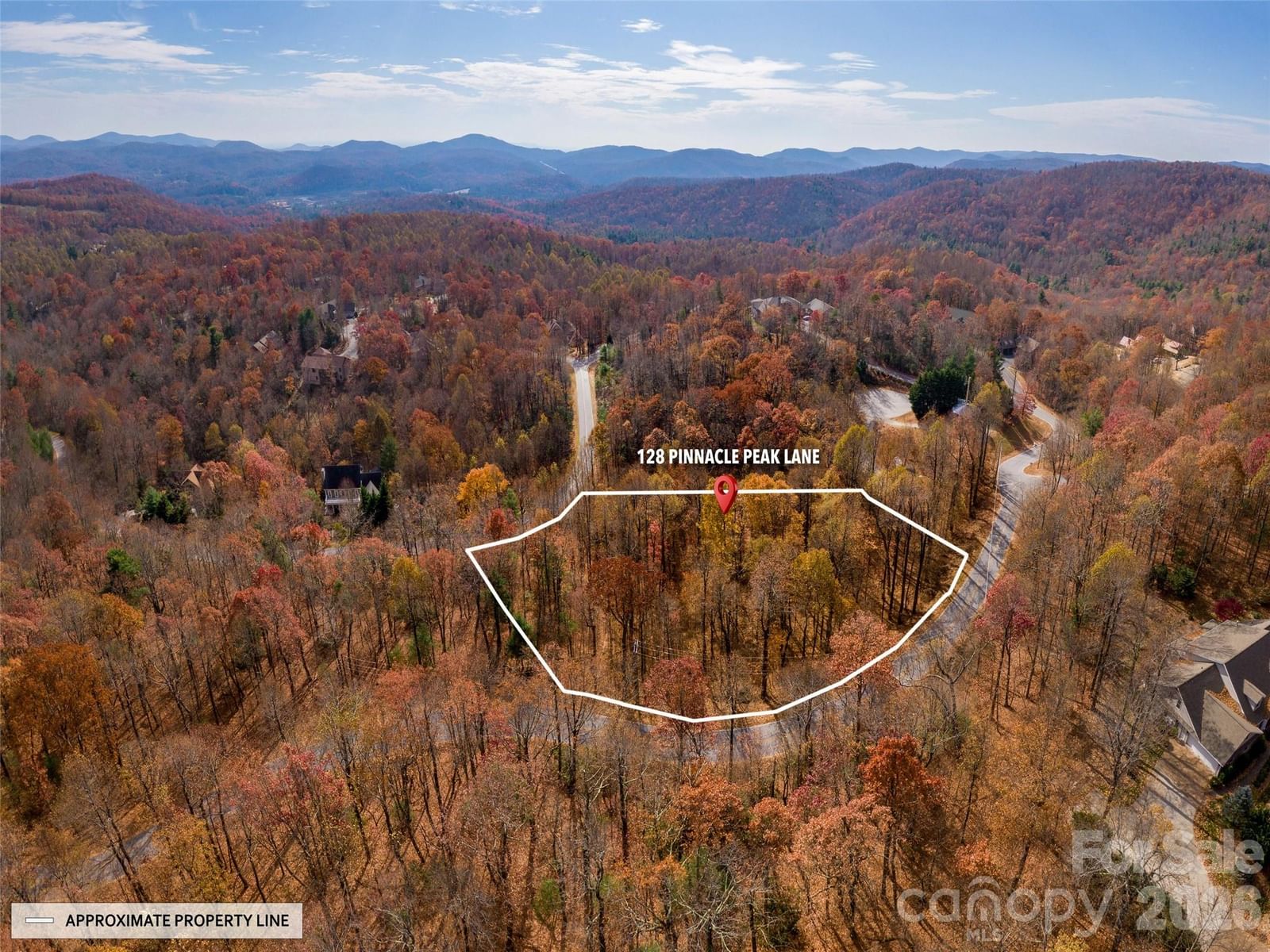 128 Pinnacle Peak Lane, Flat Rock, NC 28731 - Photo 3