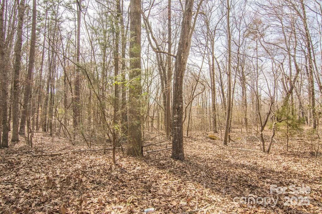 Property at 000 Jim Wilson Road, Indian Land, SC 29707