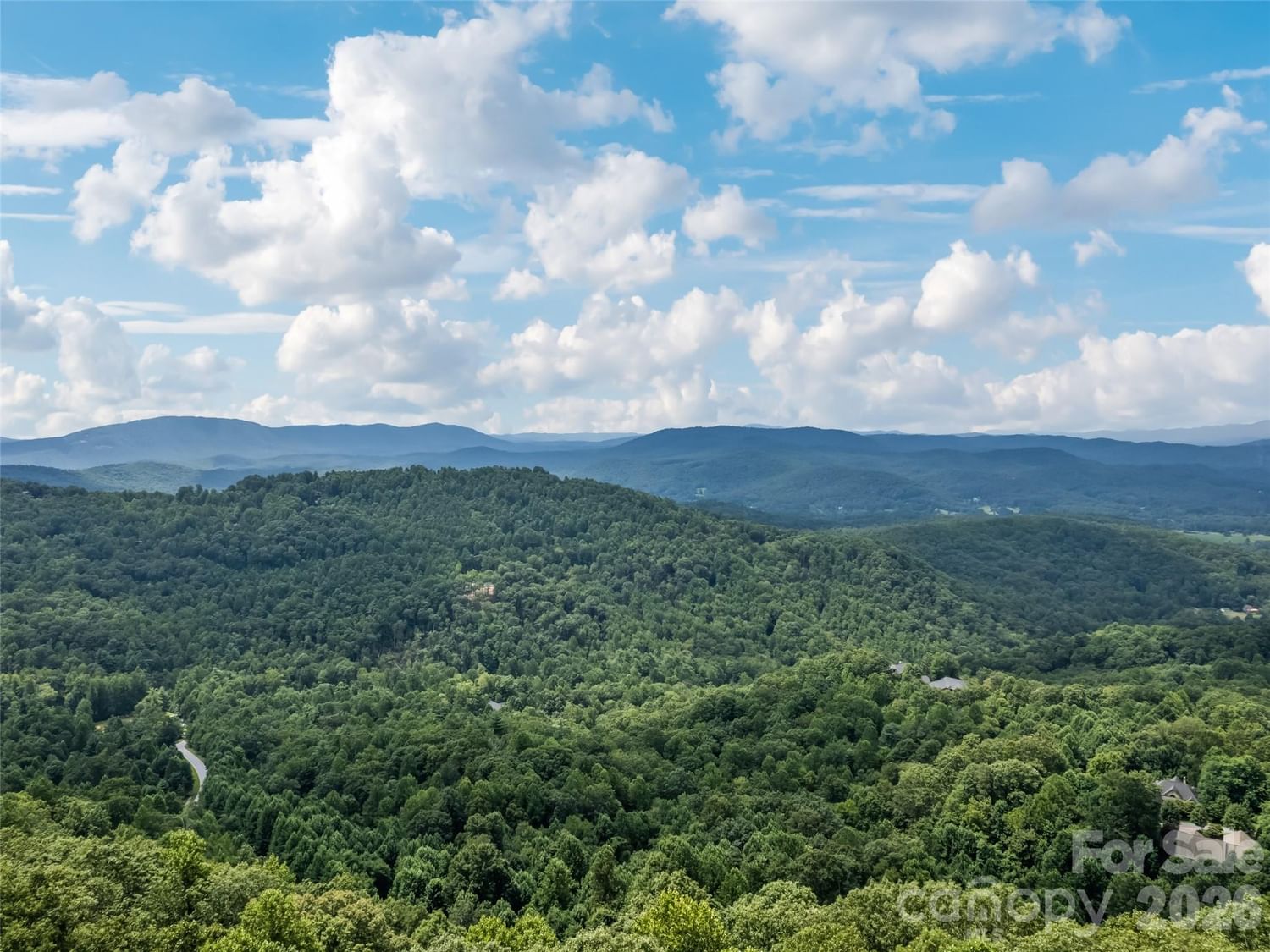 1401 Fleetwood Plaza #1, Hendersonville, NC 28739 - Photo 5