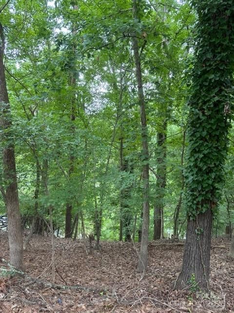 Property at 10046 Tepa, Tega Cay, SC 29708