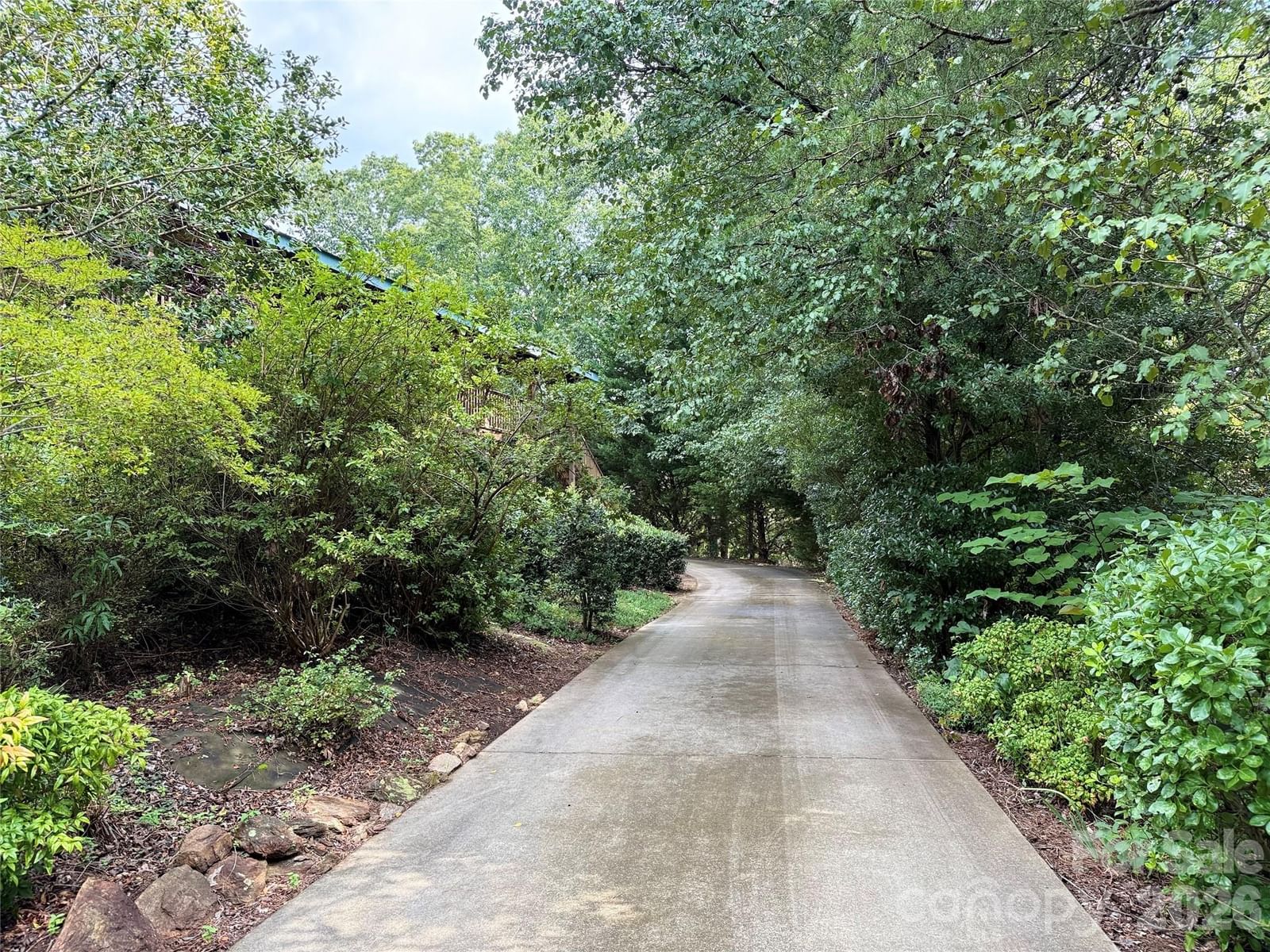 66 Ashlyn Lane, Tryon, NC 28782 - Photo 3