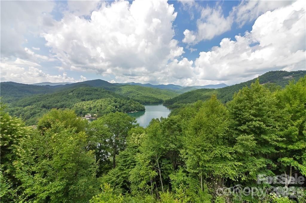 612 Old Home Place Road, Tuckasegee, NC 28783 - Photo 5