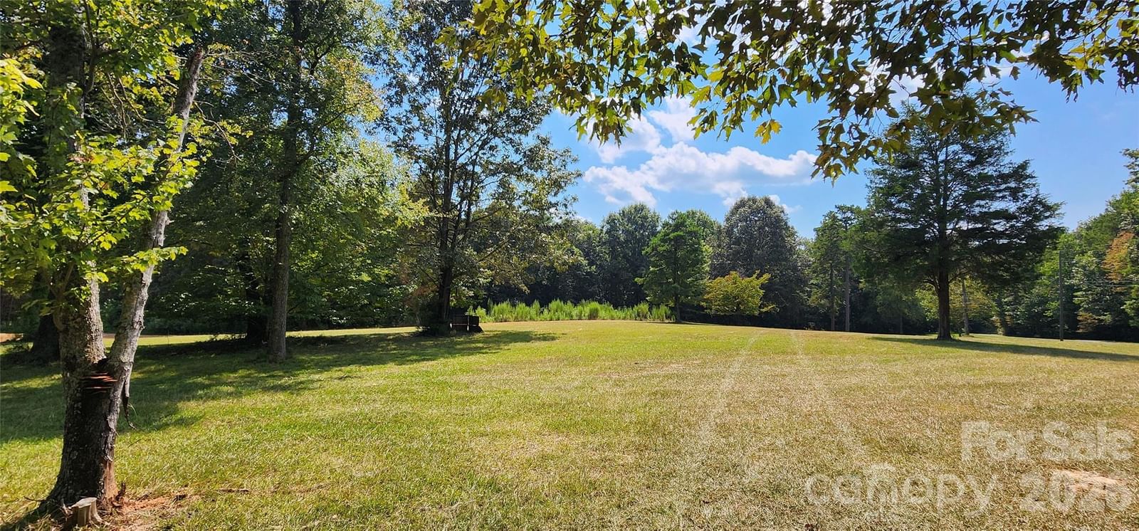 1115 John Short Road, Indian Land, SC 29707 - Photo 5