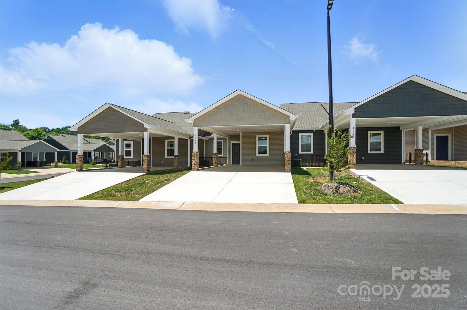 1524 29th Street, Hickory, NC 28602 - Photo 3