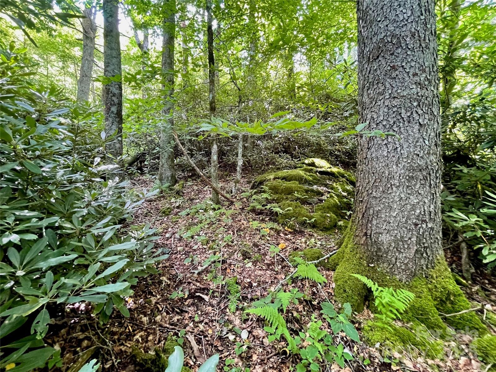 125 Stoneledge Lane #125, Blowing Rock, NC 28605 - Photo 5
