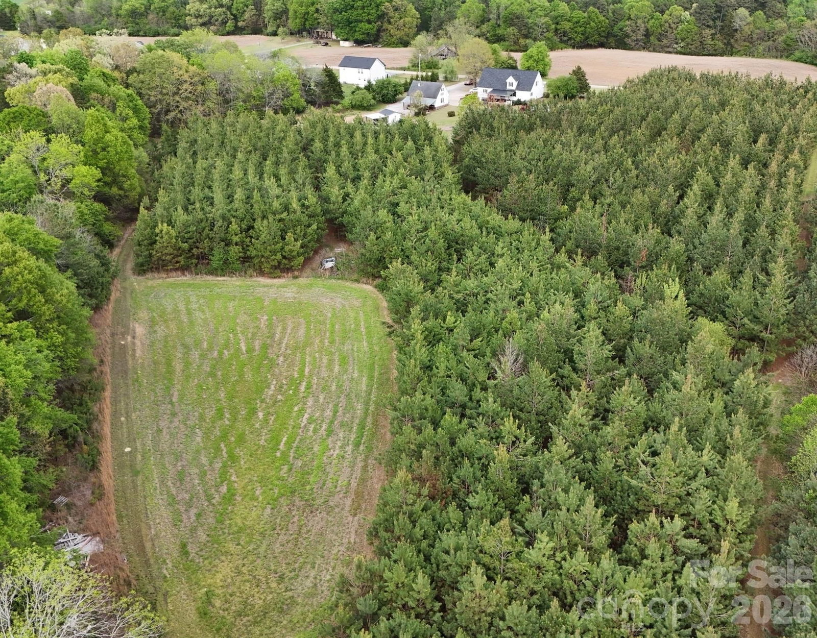 176 Griffin Road, Pageland, SC 29728 - Photo 3