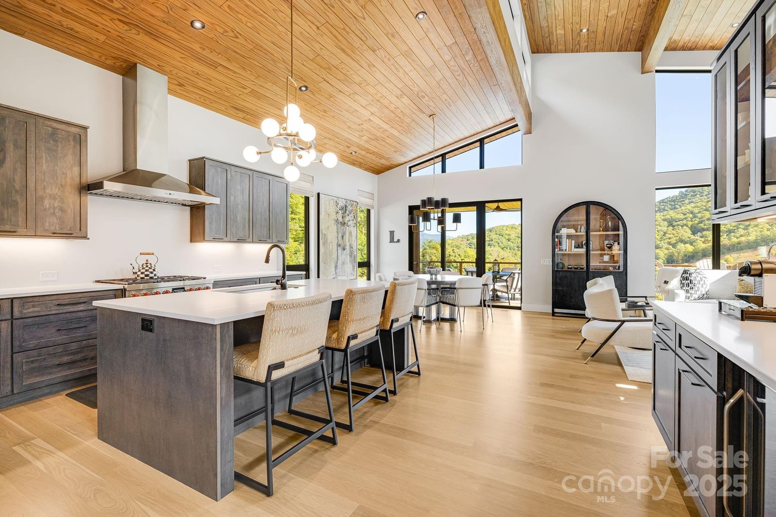 13 Switchgrass Lane #407, Sylva, NC 28779 - Photo 5