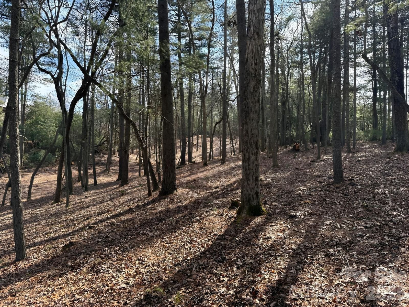 0 Cedar Hill Drive #24, Asheville, NC 28803 - Photo 2