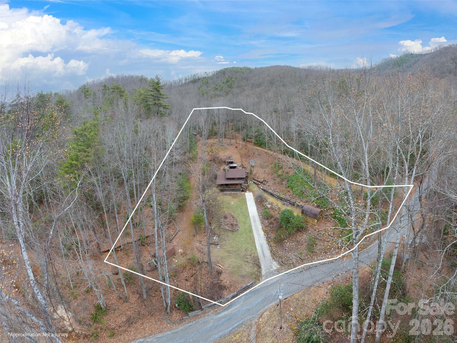 775 Chambers Cove Road, Canton, NC 28716 - Photo 3